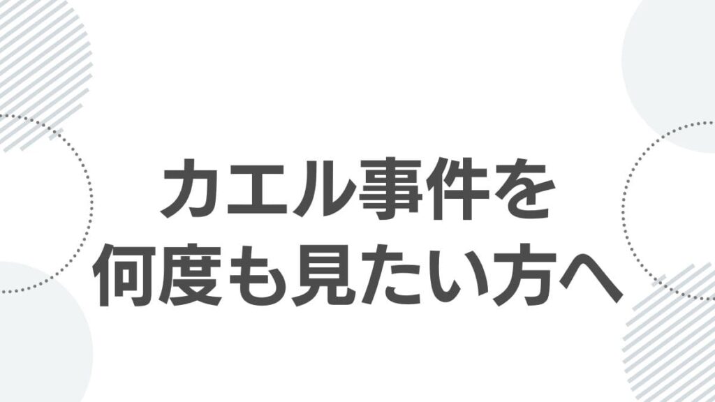 カエル事件を何度も見たい方へ