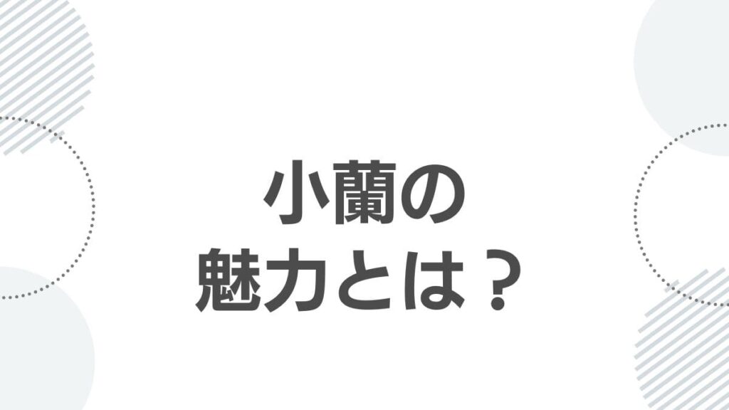 小蘭の魅力とは？
