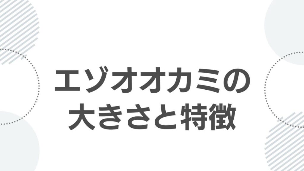エゾオオカミの大きさと特徴