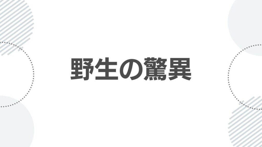 強さランキングにおける野生の驚異