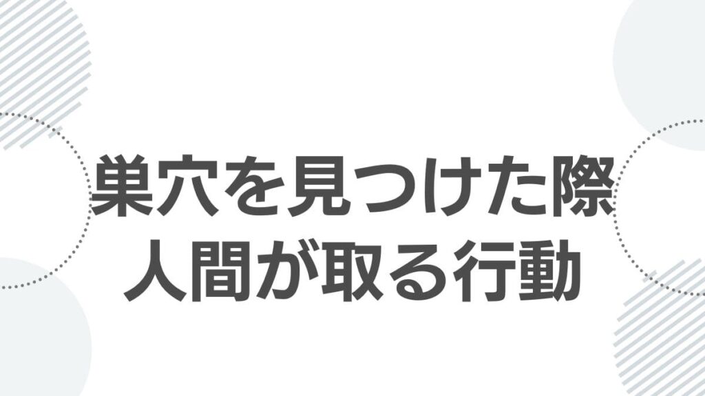 巣穴を見つけた際人間が取る行動
