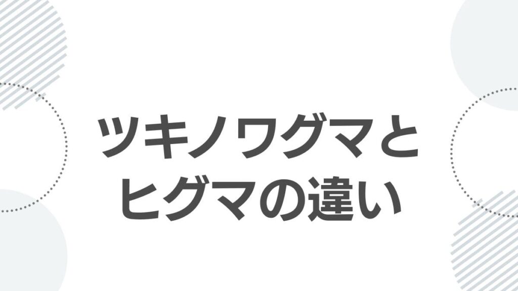 ツキノワグマとヒグマの違い
