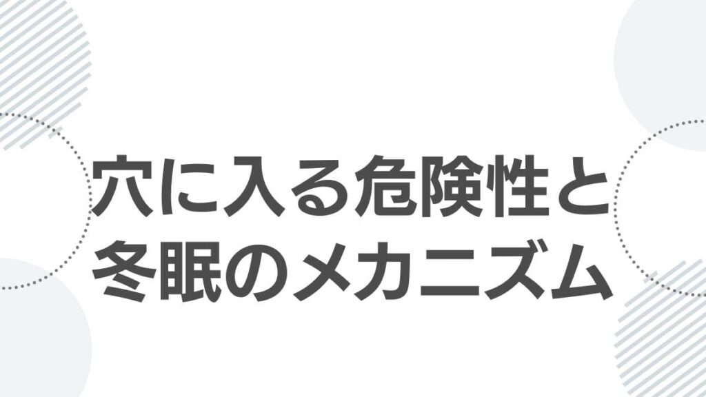 穴に入る危険性と冬眠のメカニズム