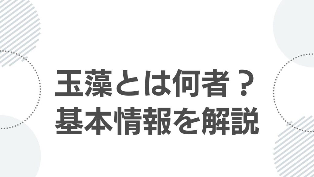 kusuriyanohitorigoto-tamamo_tamamo_kihon