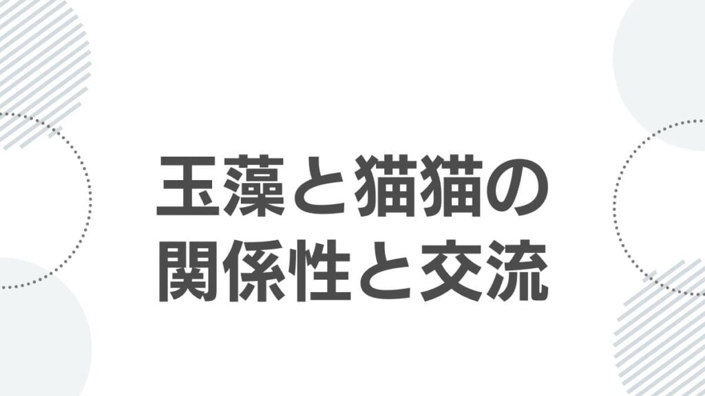 kusuriyanohitorigoto-tamamo_tamamo_maomao