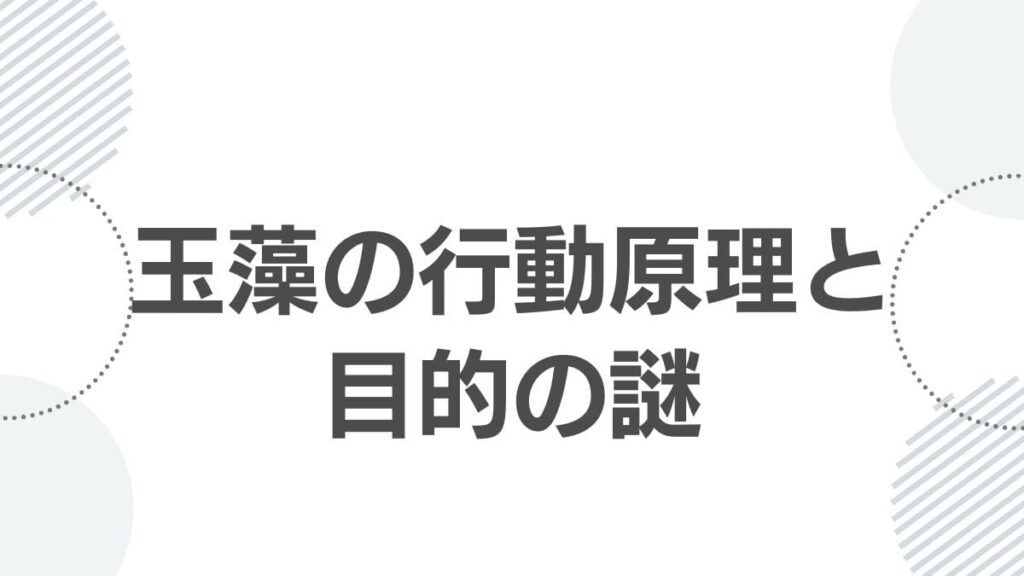 kusuriyanohitorigoto-tamamo_tamamo_purpose